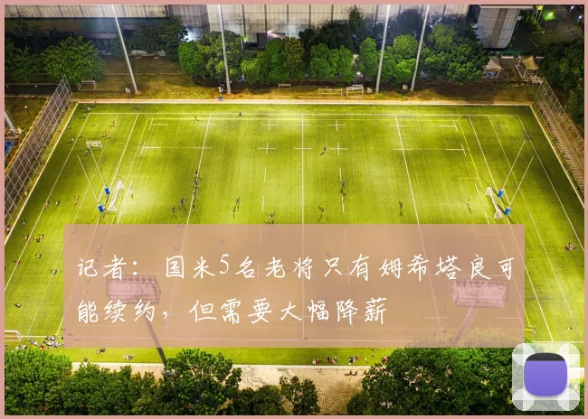 记者：国米5名老将只有姆希塔良可能续约，但需要大幅降薪